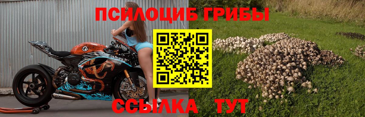 Галлюциногенные грибы мухоморы  Вход с VPN  Озёры 